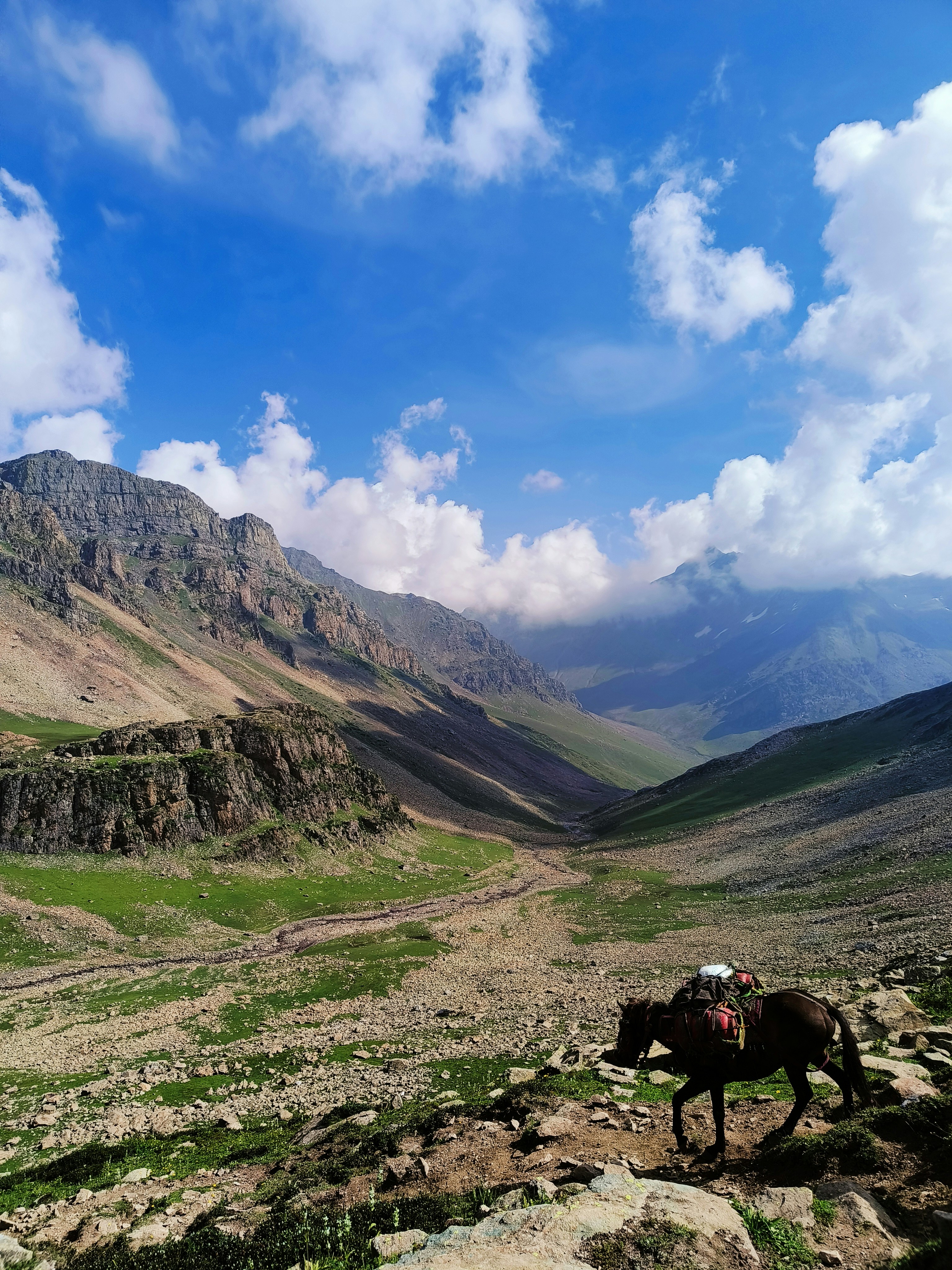 a person riding a horse in the mountains