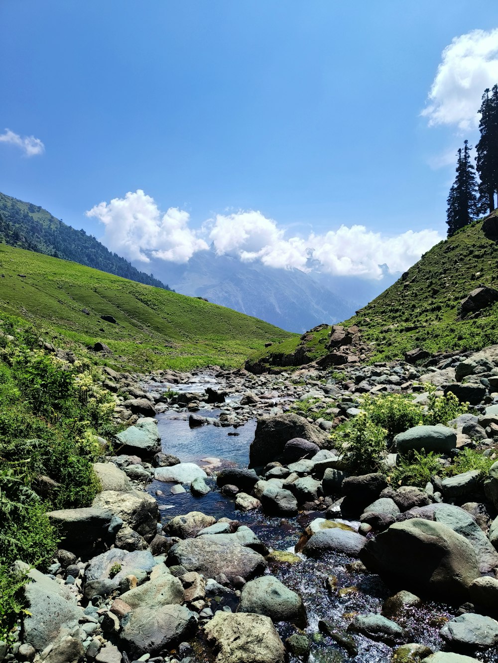 a stream running through a lush green hillside