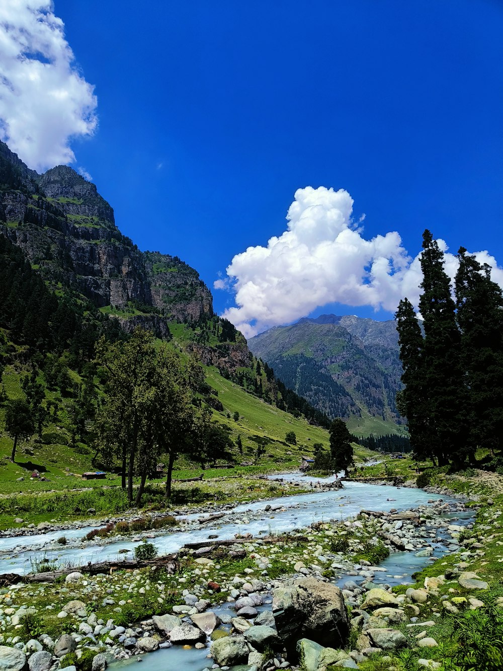 a river running through a lush green valley