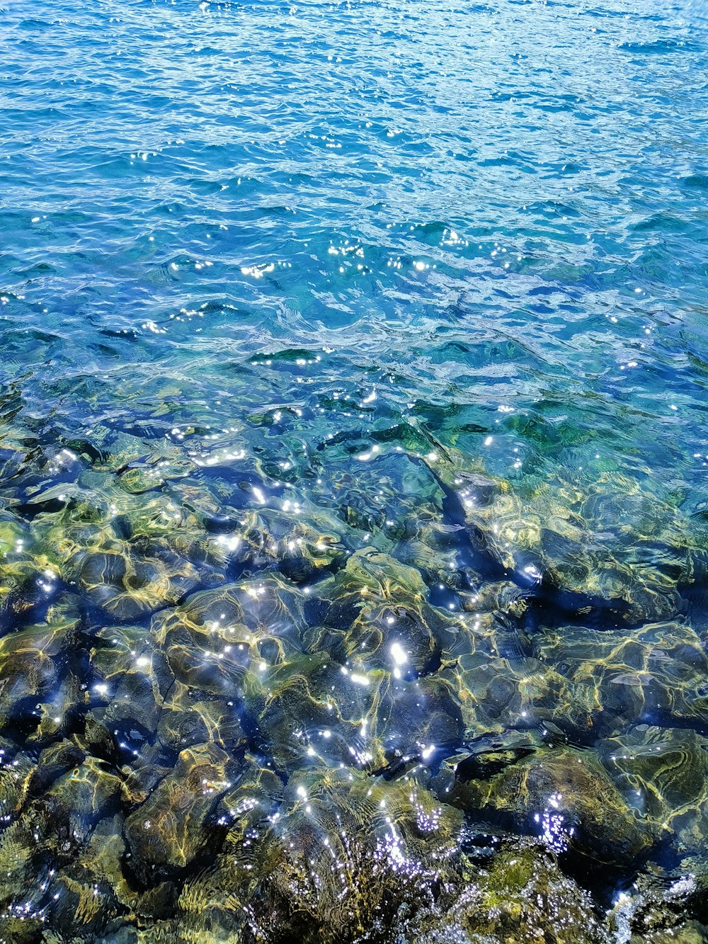 a body of water that has some rocks in it