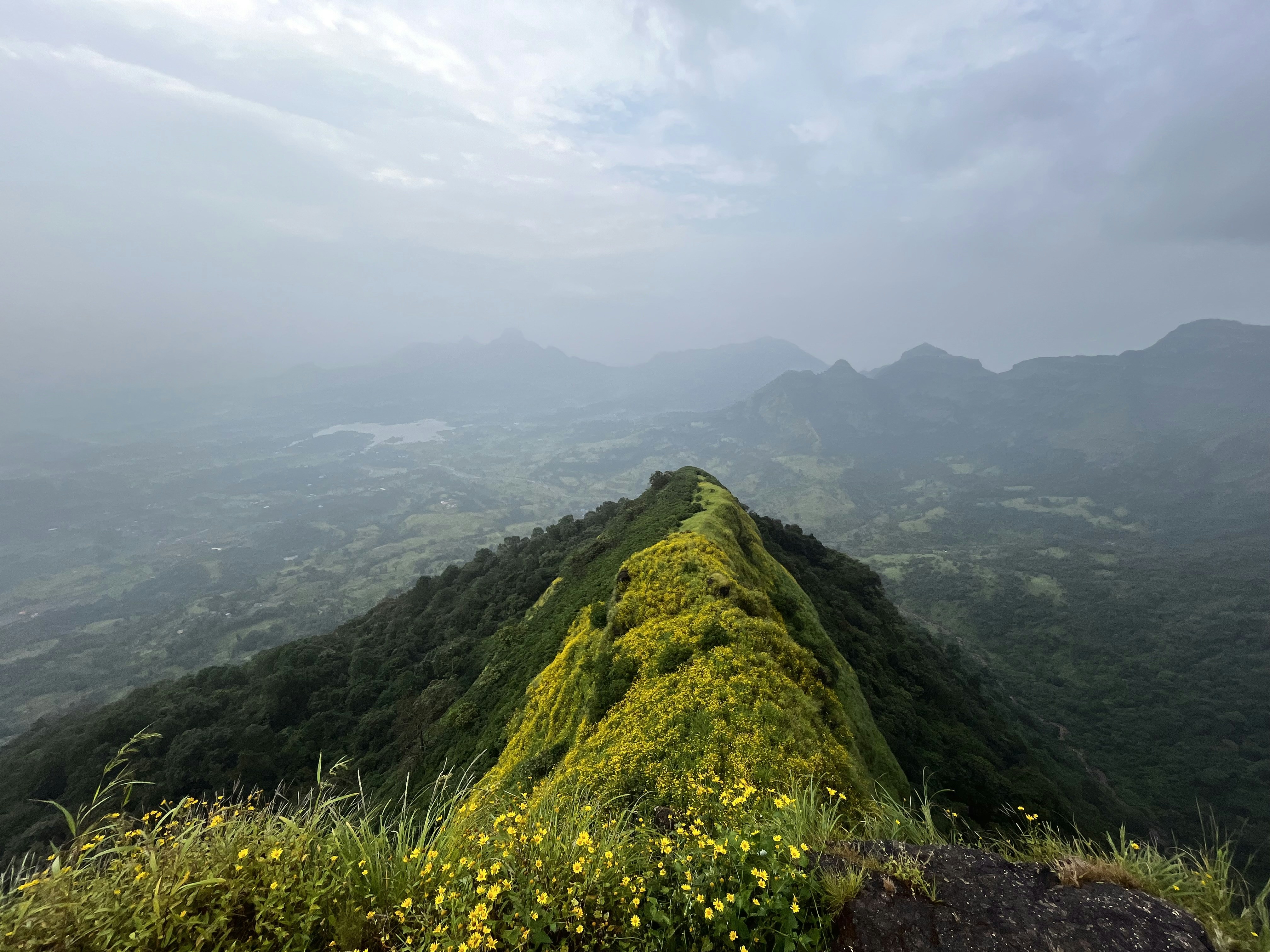 Photo by mslovs2shoot