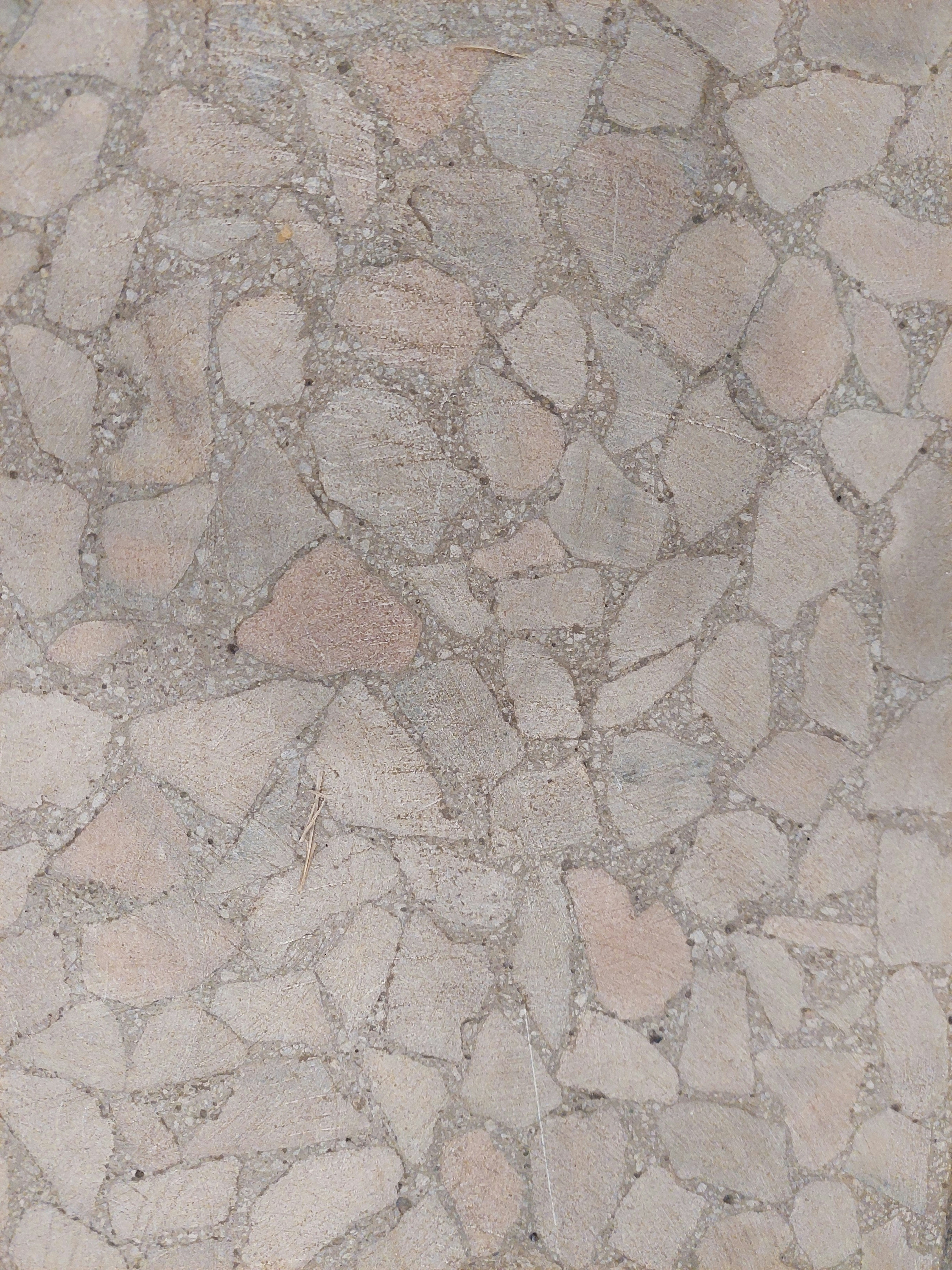 a cat laying on the ground next to a red fire hydrant