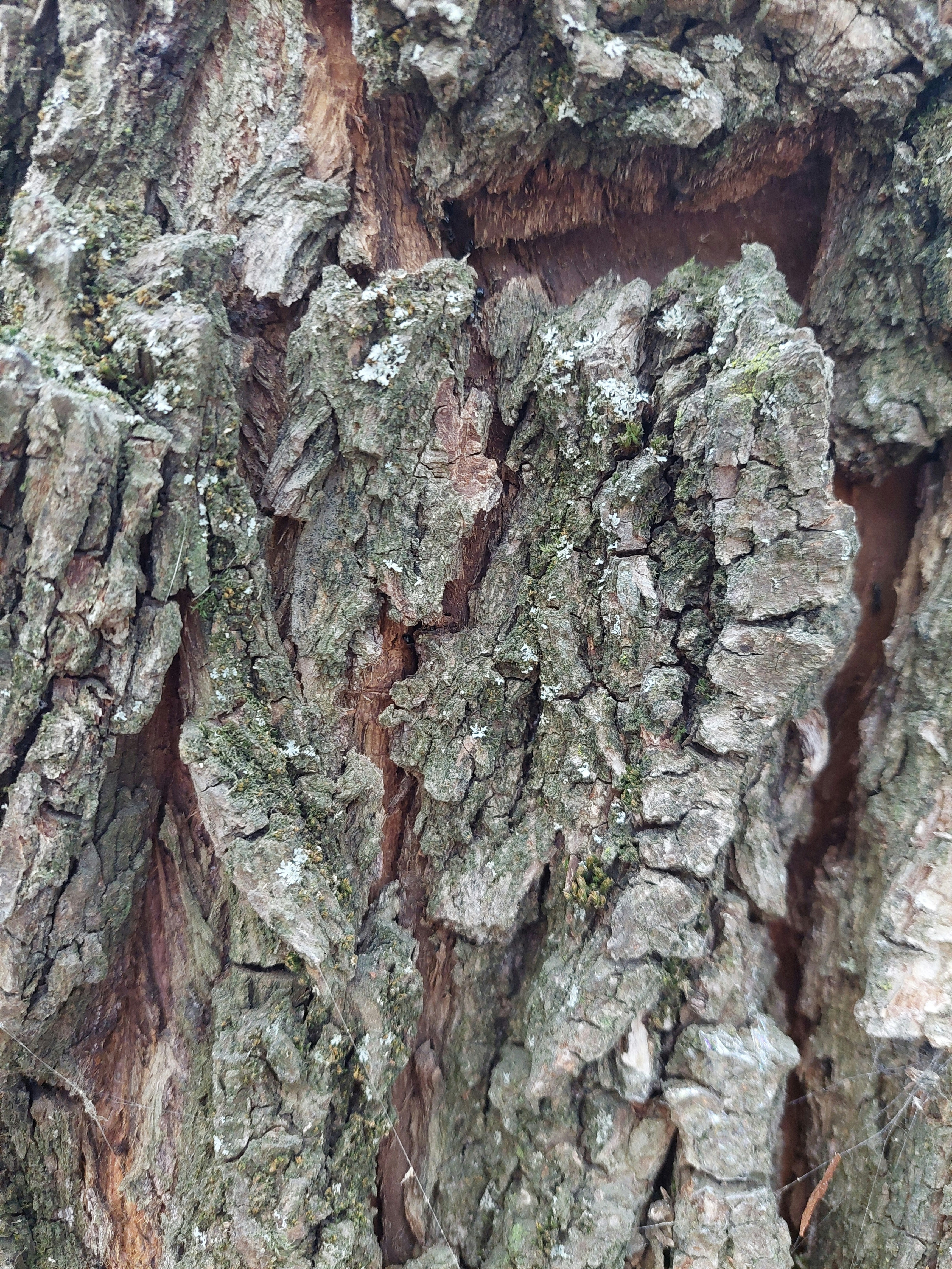 Photo by desislava_ivanova