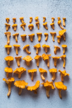 a group of orange mushrooms sitting on top of a table