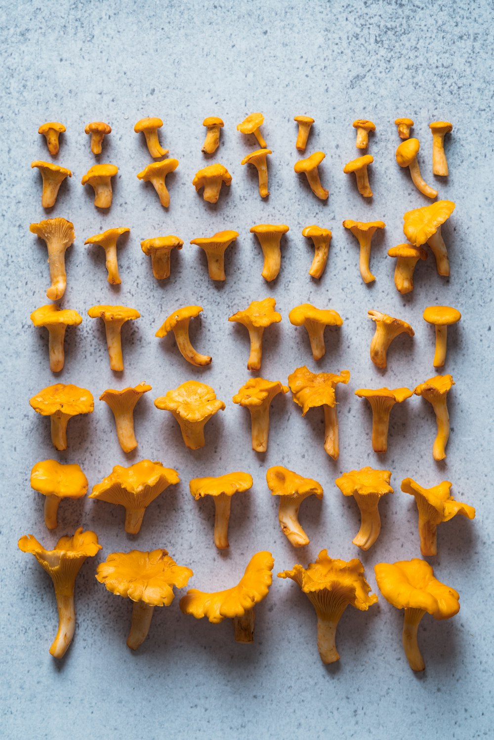eine Gruppe orangefarbener Pilze, die auf einem Tisch sitzen