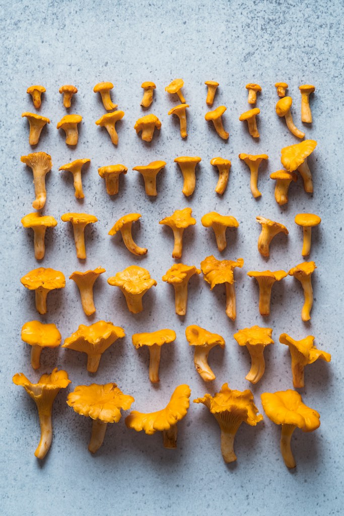 Filter Patch Grow Bags