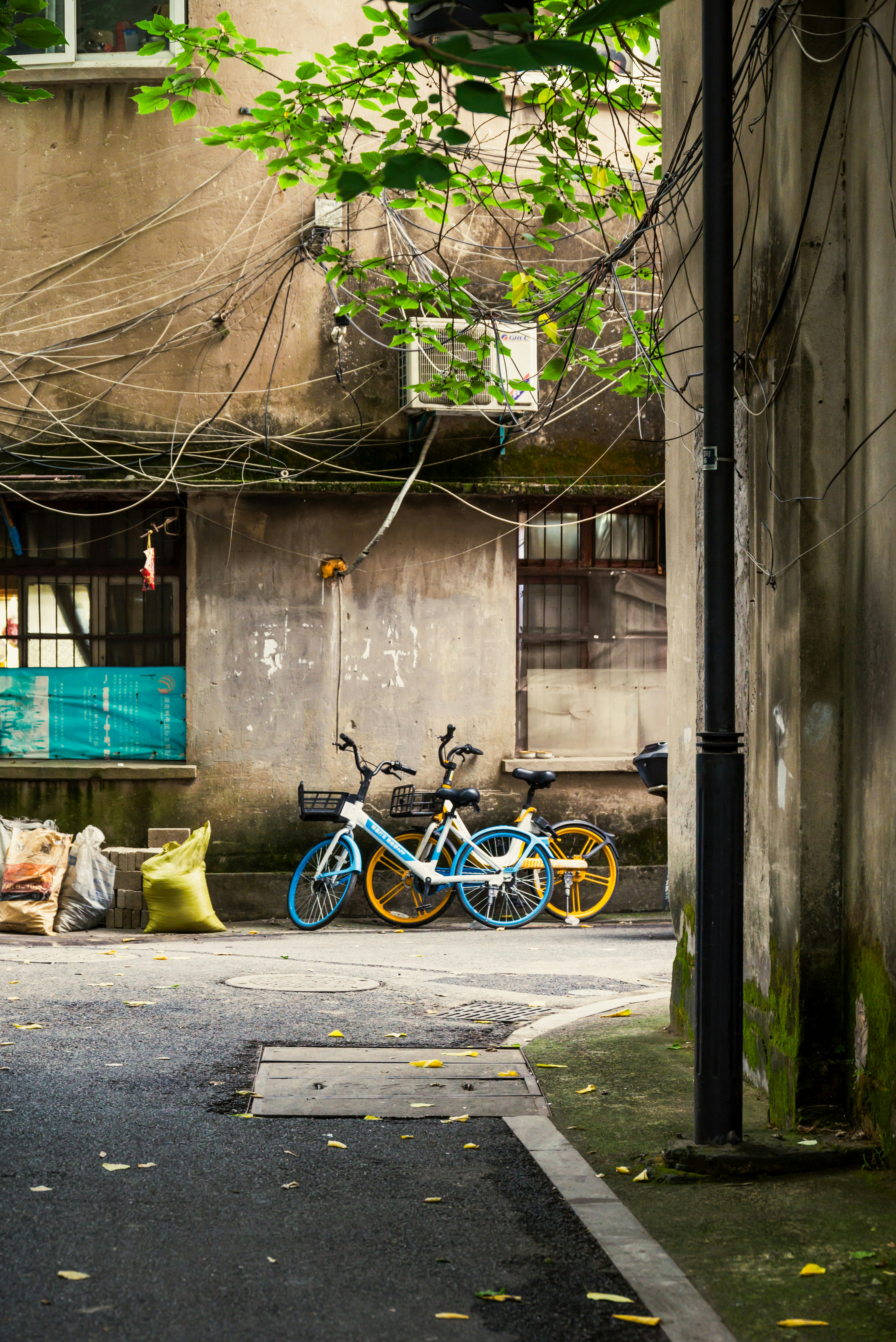 Photo by grasser