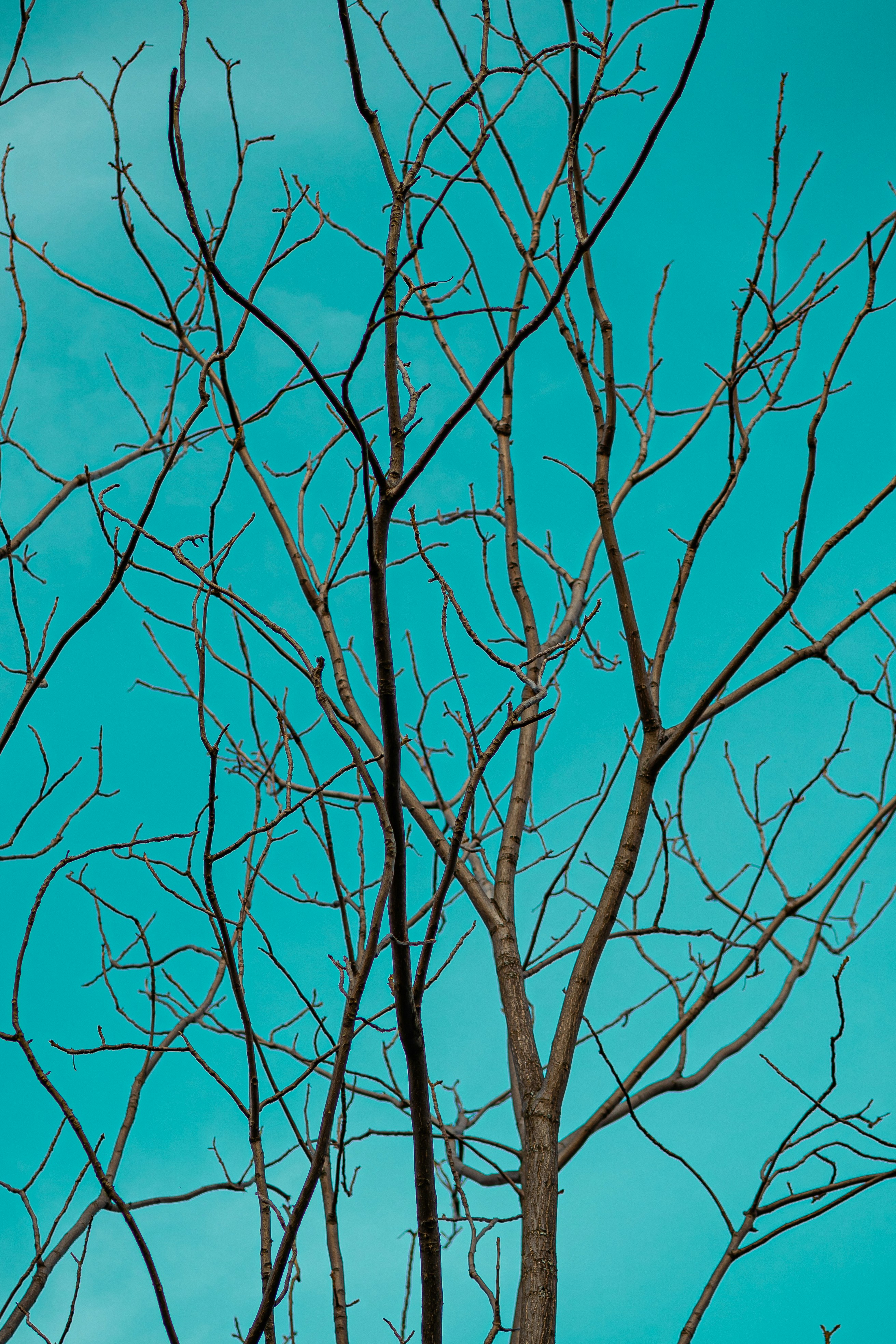 Photo by anamnesis33