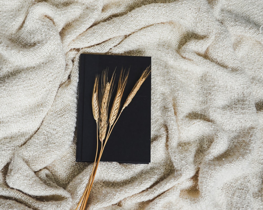 a book and some wheat on a blanket