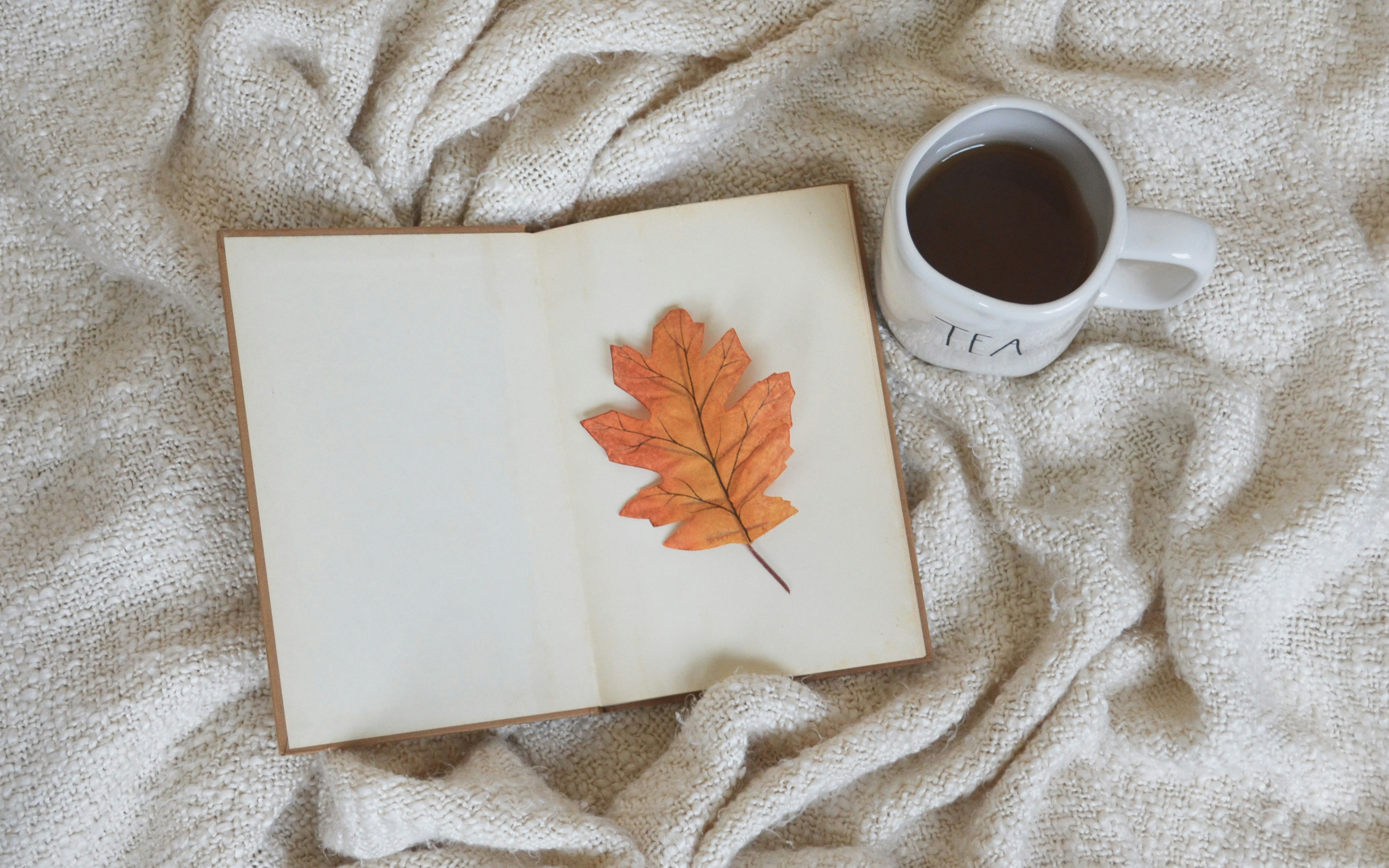 Coffee and book on cozy bed