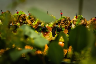 An artistic arrangement of gourmet appetizers with skewers and garnishes. Fresh greens, sliced mushrooms, and olives are visible, along with a focus on presentation. Foreground shows blurred greenery adding depth.