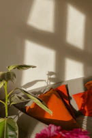 Soft natural light filtering through a window onto a cozy therapy couch with a sage green throw.