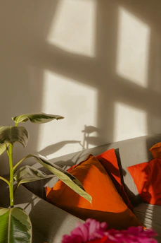 Cozy living room corner with warm orange and golden light filtering through a window.