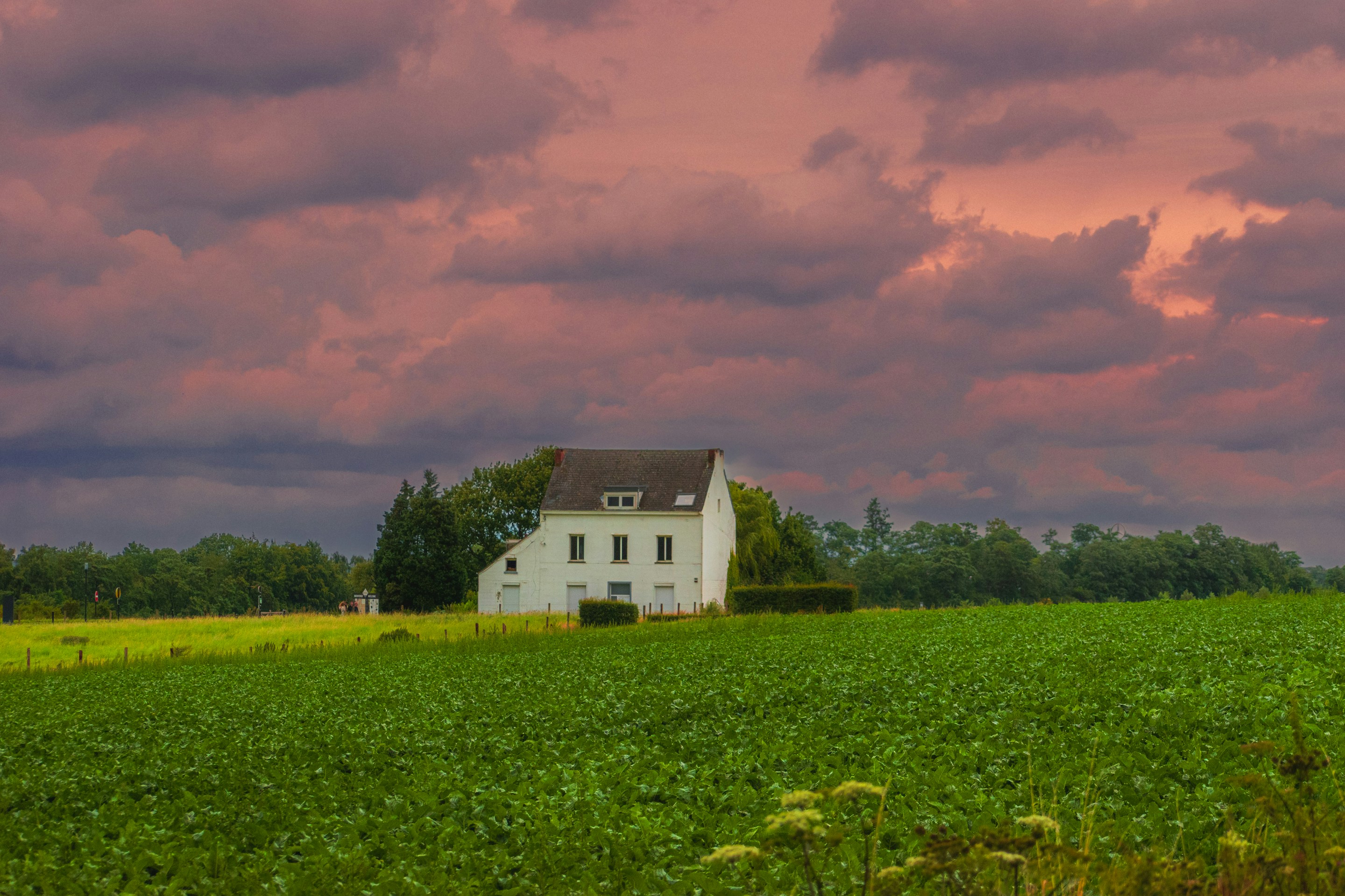 Photo by casnafu