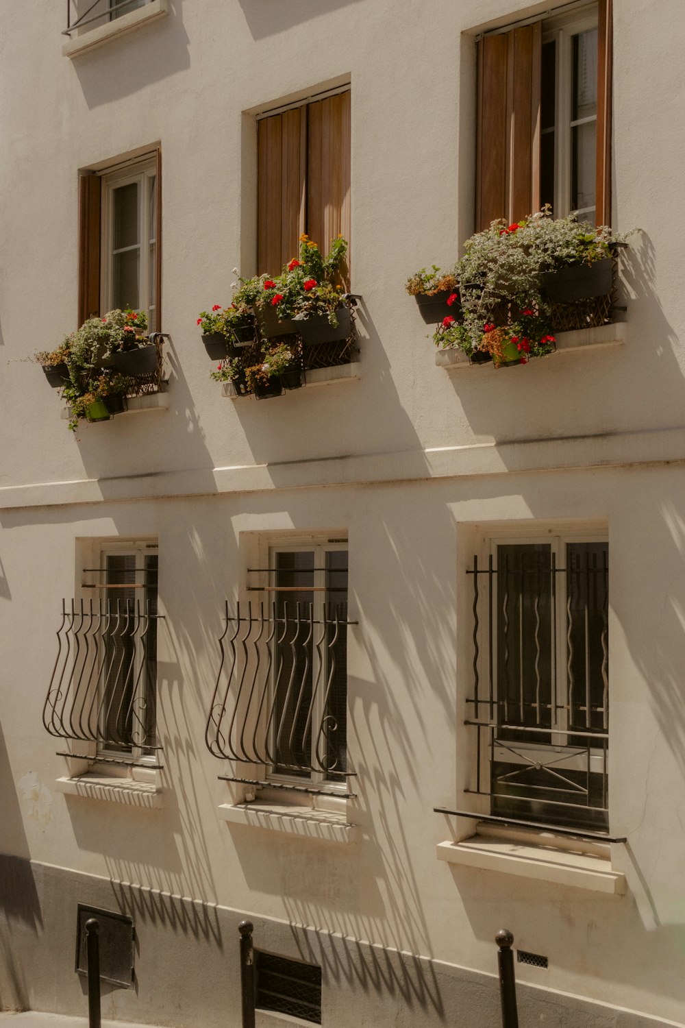 a row of windows with flower boxes on each of them