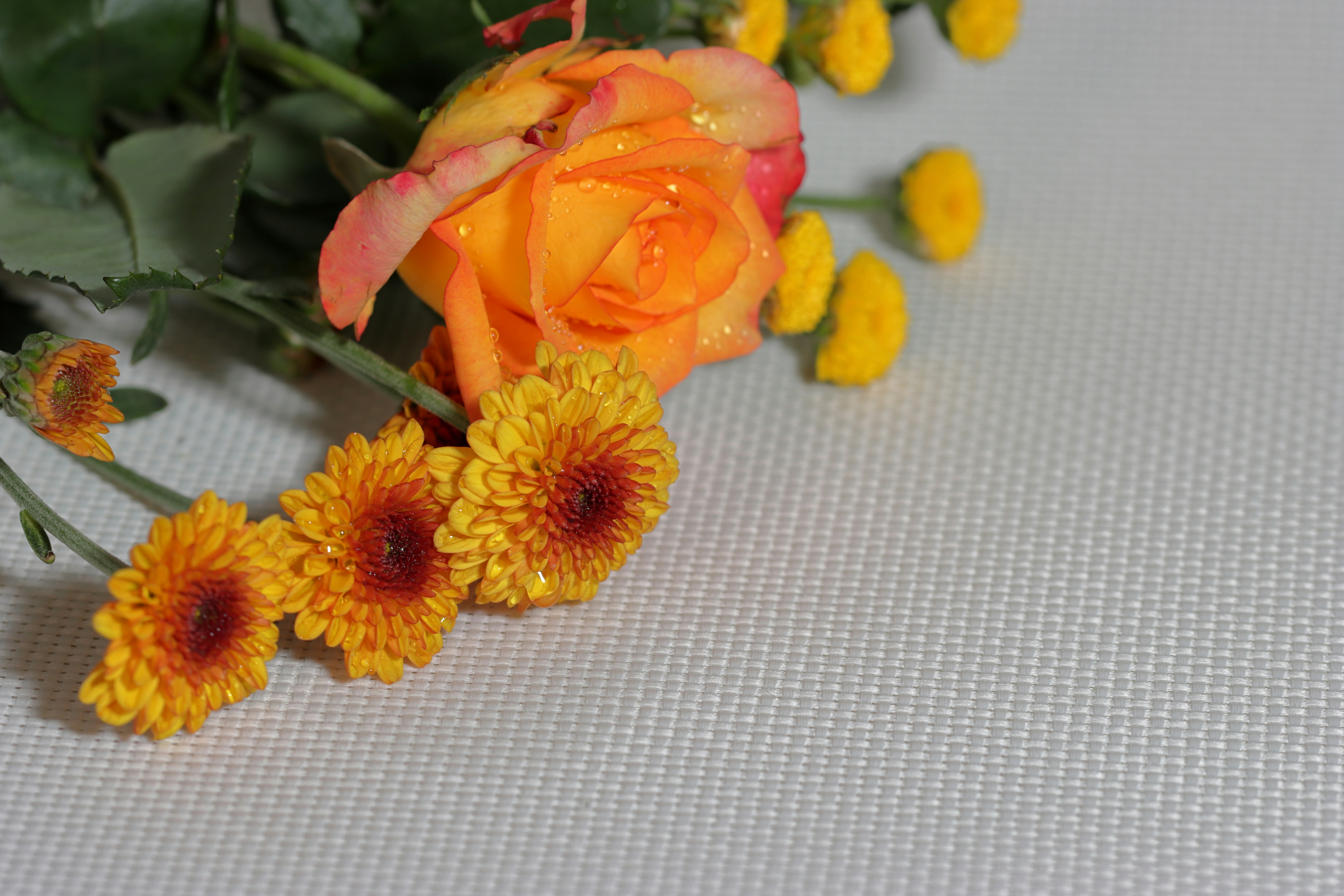 프로포즈선물 - 참고자료