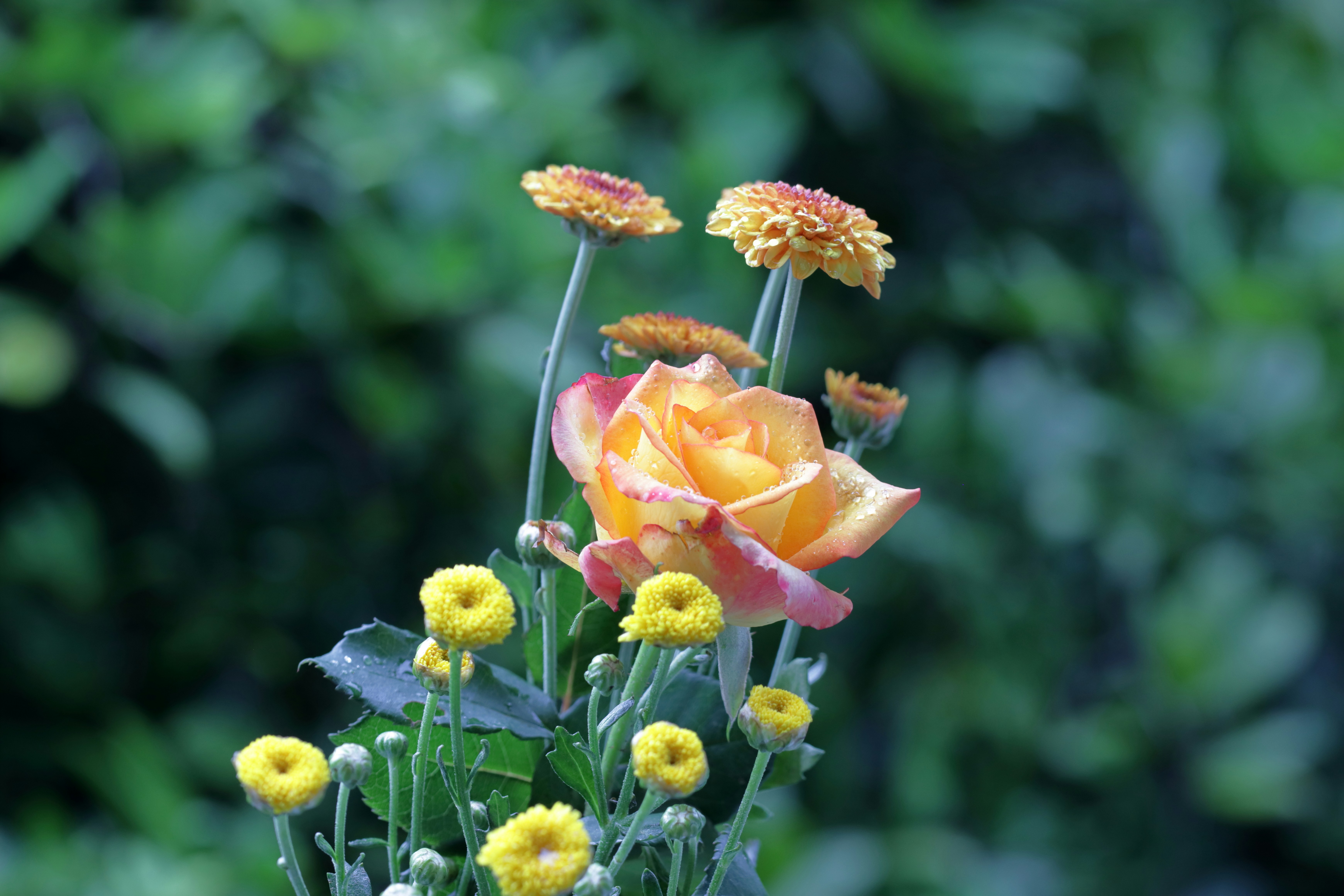 프로포즈선물 - 추천하는 선물 아이템