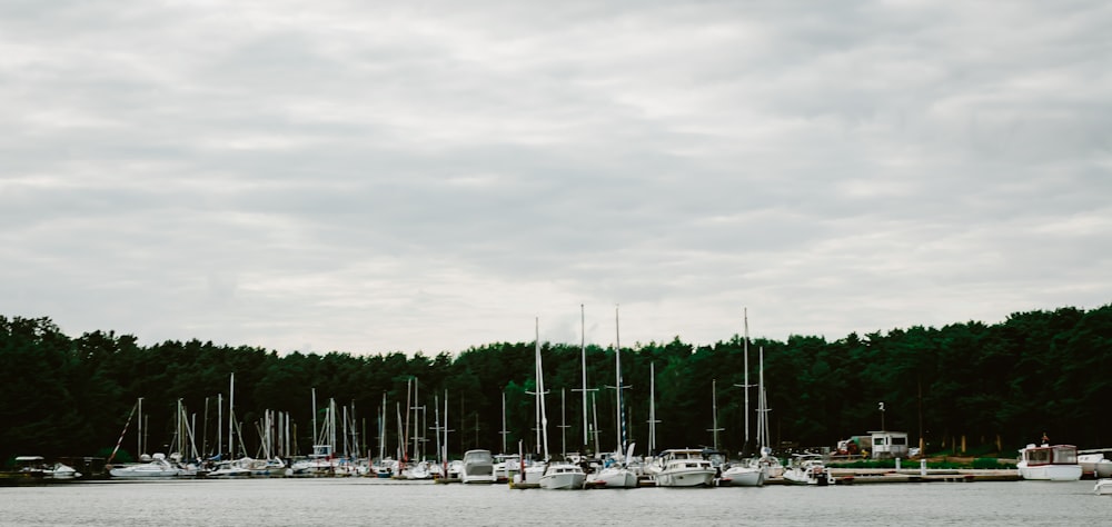 a large body of water filled with lots of boats