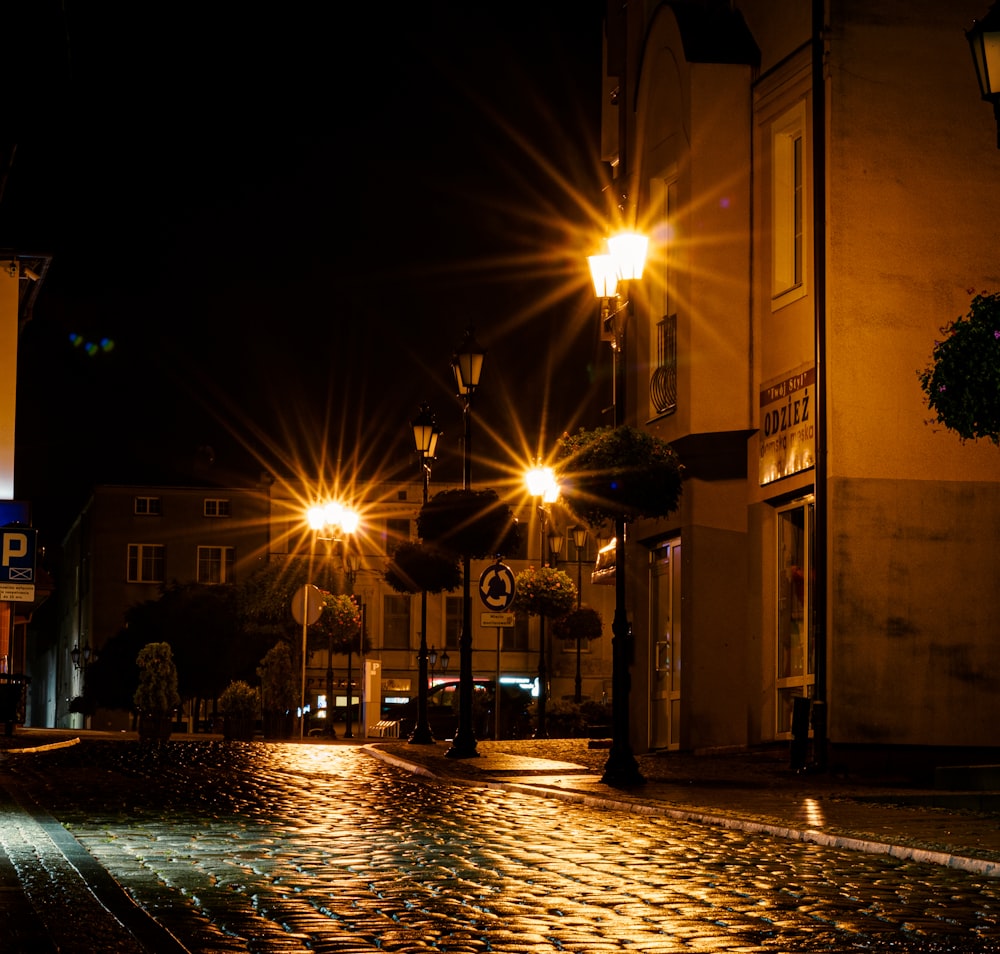 uma rua de paralelepípedos à noite com luzes de rua