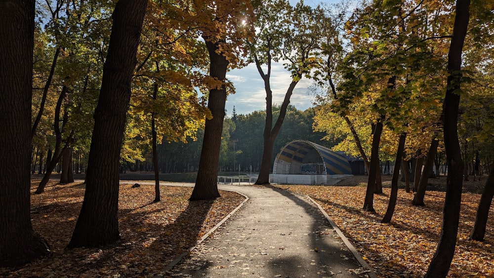 a path in a park with trees and a building in the background