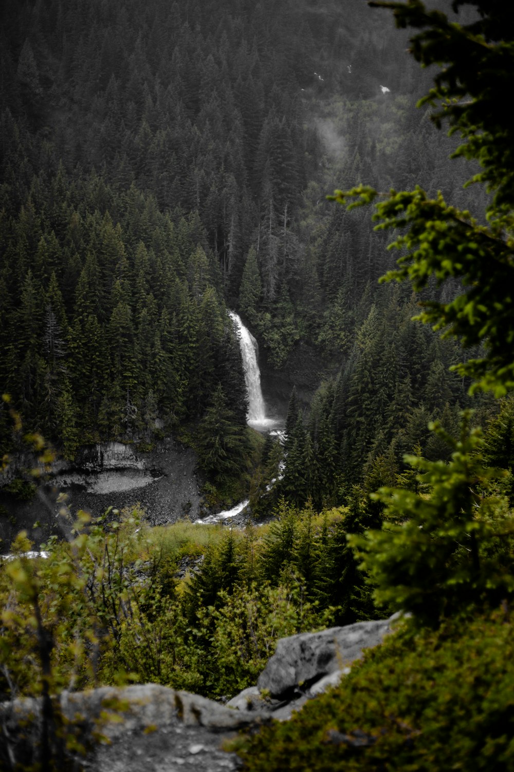 a waterfall in the middle of a forest