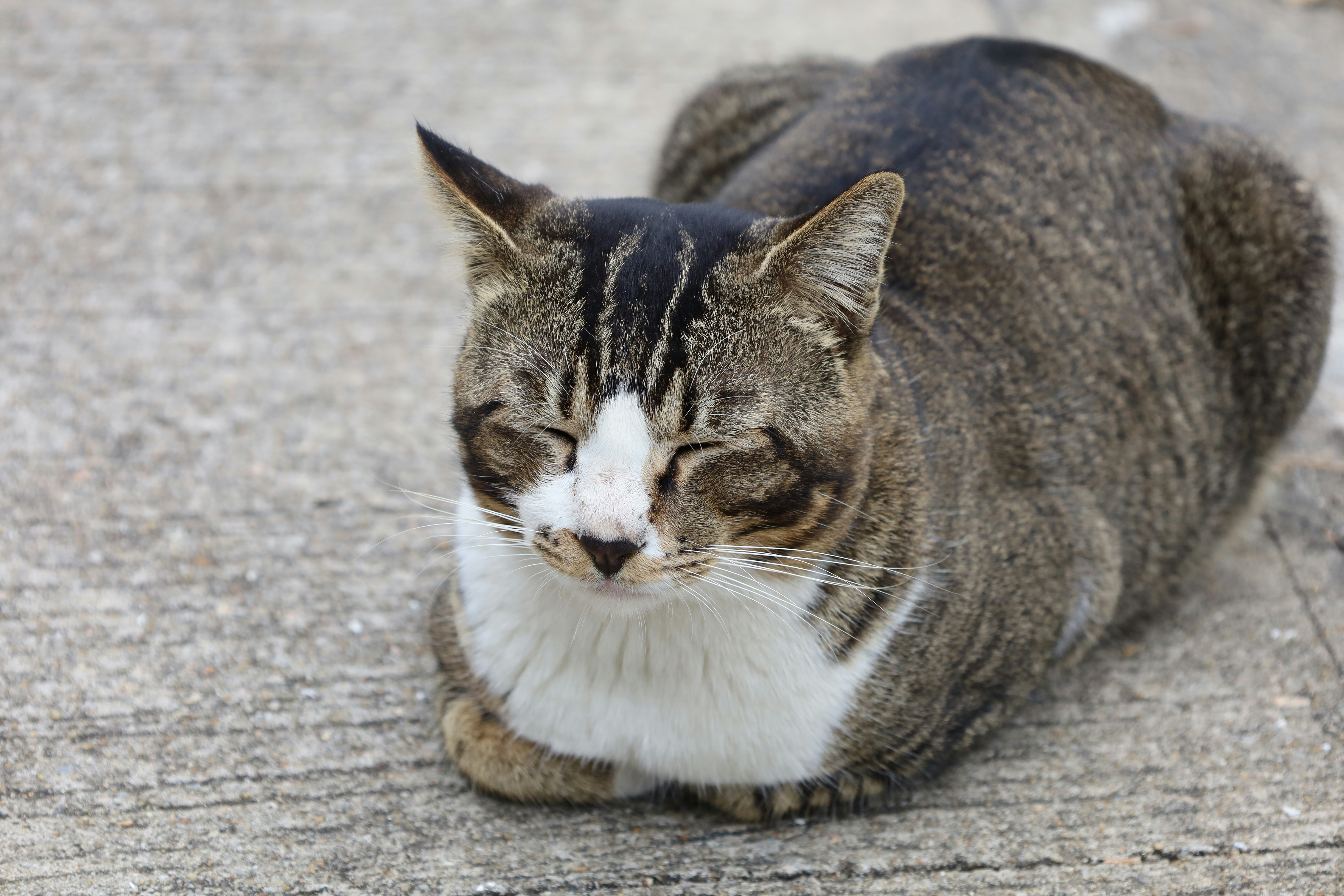 Photo by barrelrider