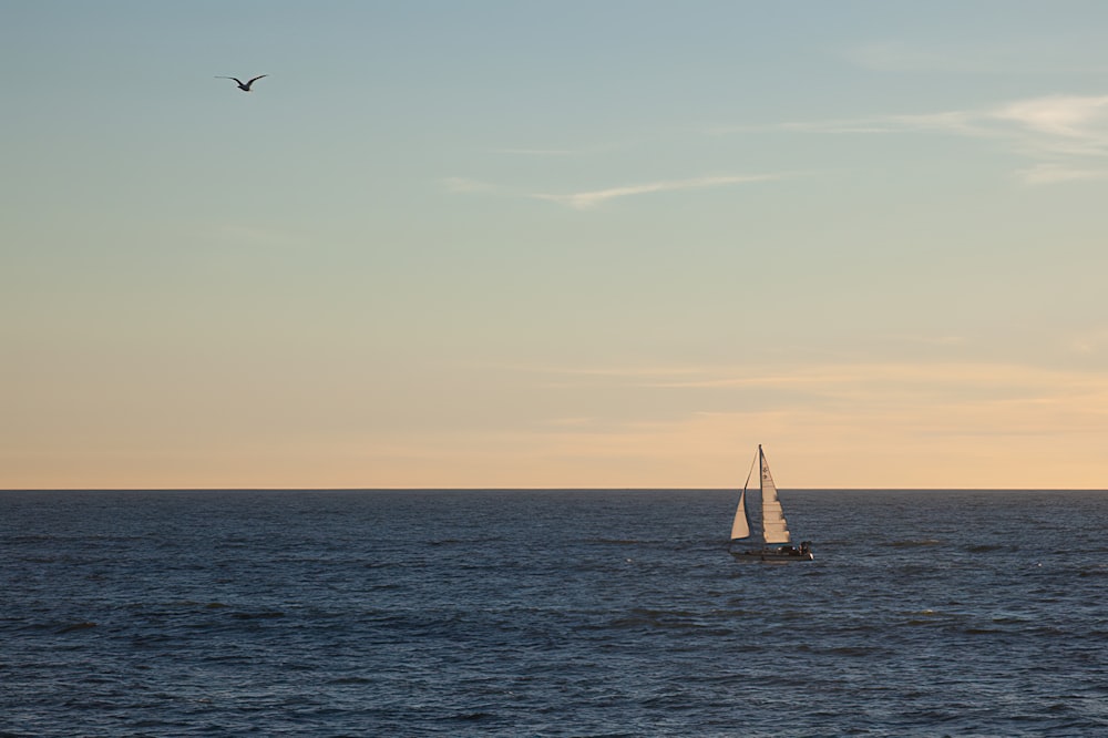 a sailboat in the middle of a body of water