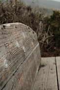 Close-up of intricate carving details on a rustic wooden bench.