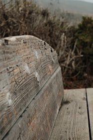 Close-up of a patterned garden chair pad resting on a rustic wooden bench.