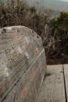 Close-up of intricate carving details on a rustic wooden bench.