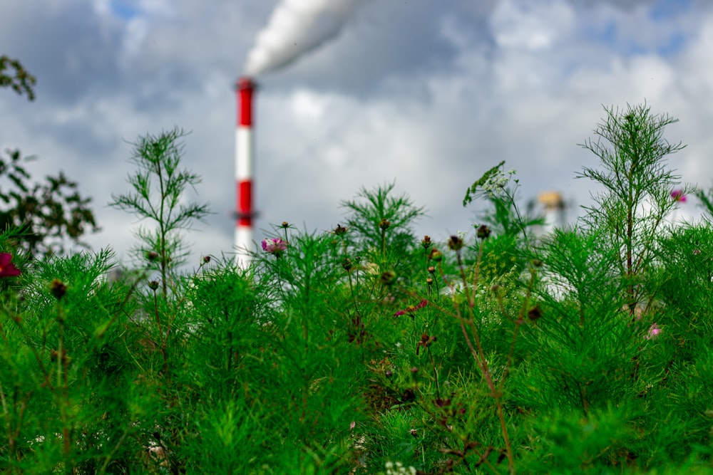 a smokestack emits from a pipe in a field