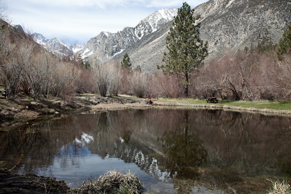 a small lake surrounded by mountains and trees