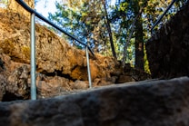 A rocky path leads through a forested area, with metal railings on both sides. The ground is composed of uneven stone surfaces, surrounded by trees with green foliage. Sunlight filters through the trees, casting shadows on the rocks.