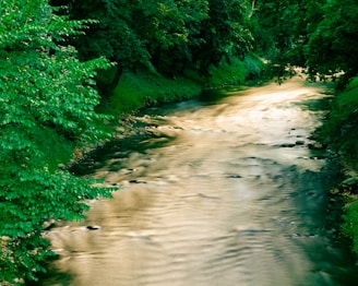A serene river flowing through a lush green landscape.