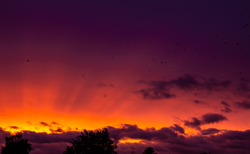 ein Sonnenuntergang mit Vögeln, die am Himmel fliegen