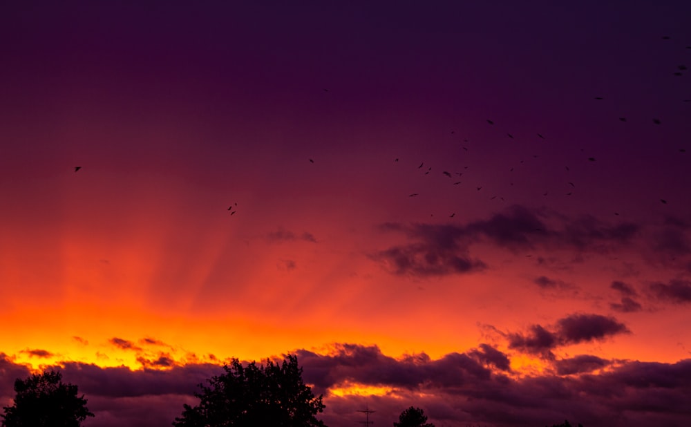 a sunset with birds flying in the sky