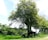 A lush green landscape featuring a prominent tree in the center surrounded by smaller trees. A black and white cow and its calf graze peacefully under the tree, set against a backdrop of bright, partly cloudy skies.