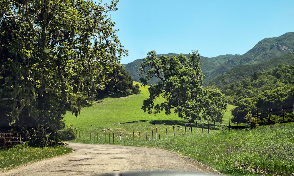 a car driving down a dirt road next to a lush green hillside