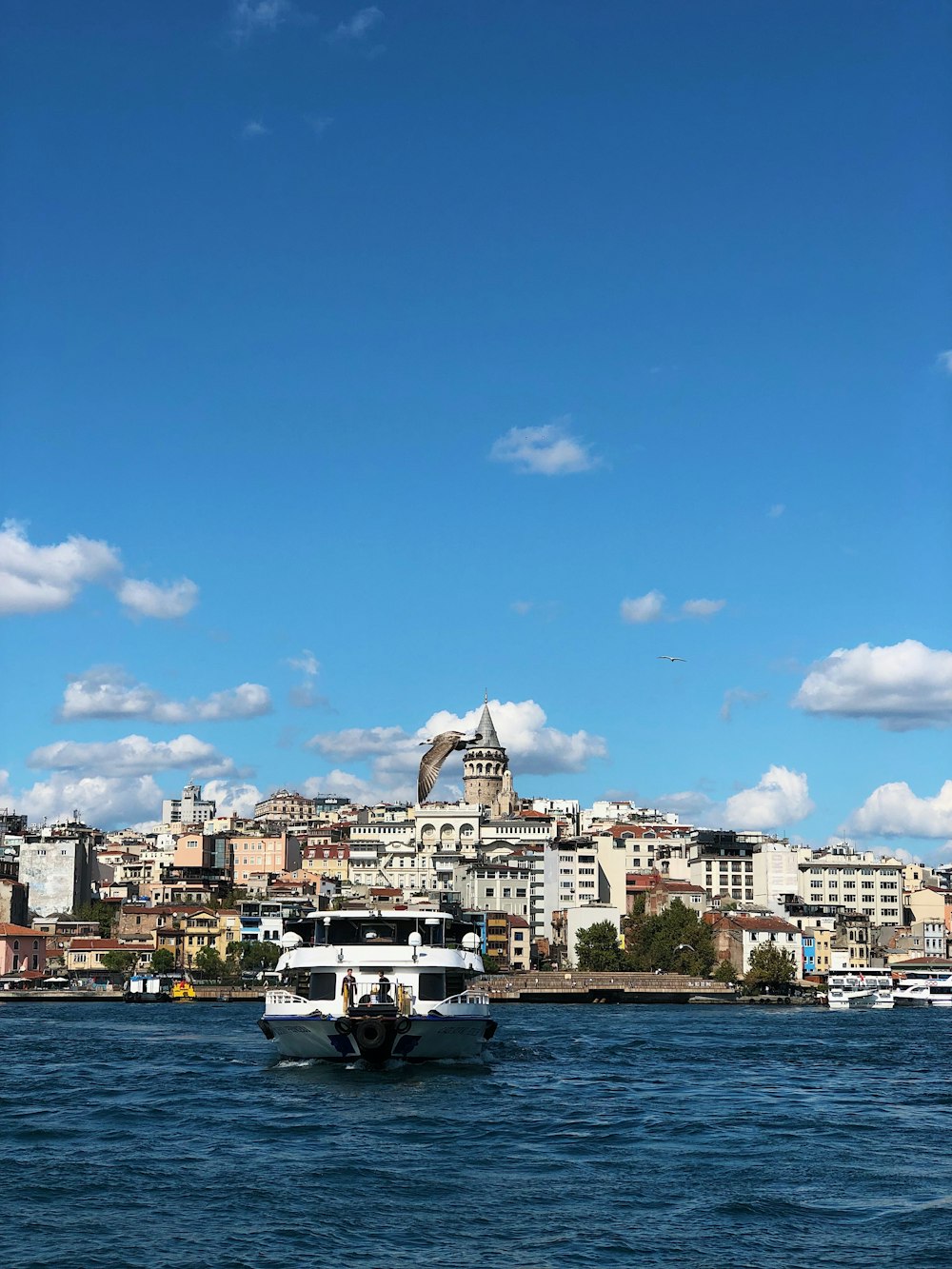 a large body of water with a boat in it