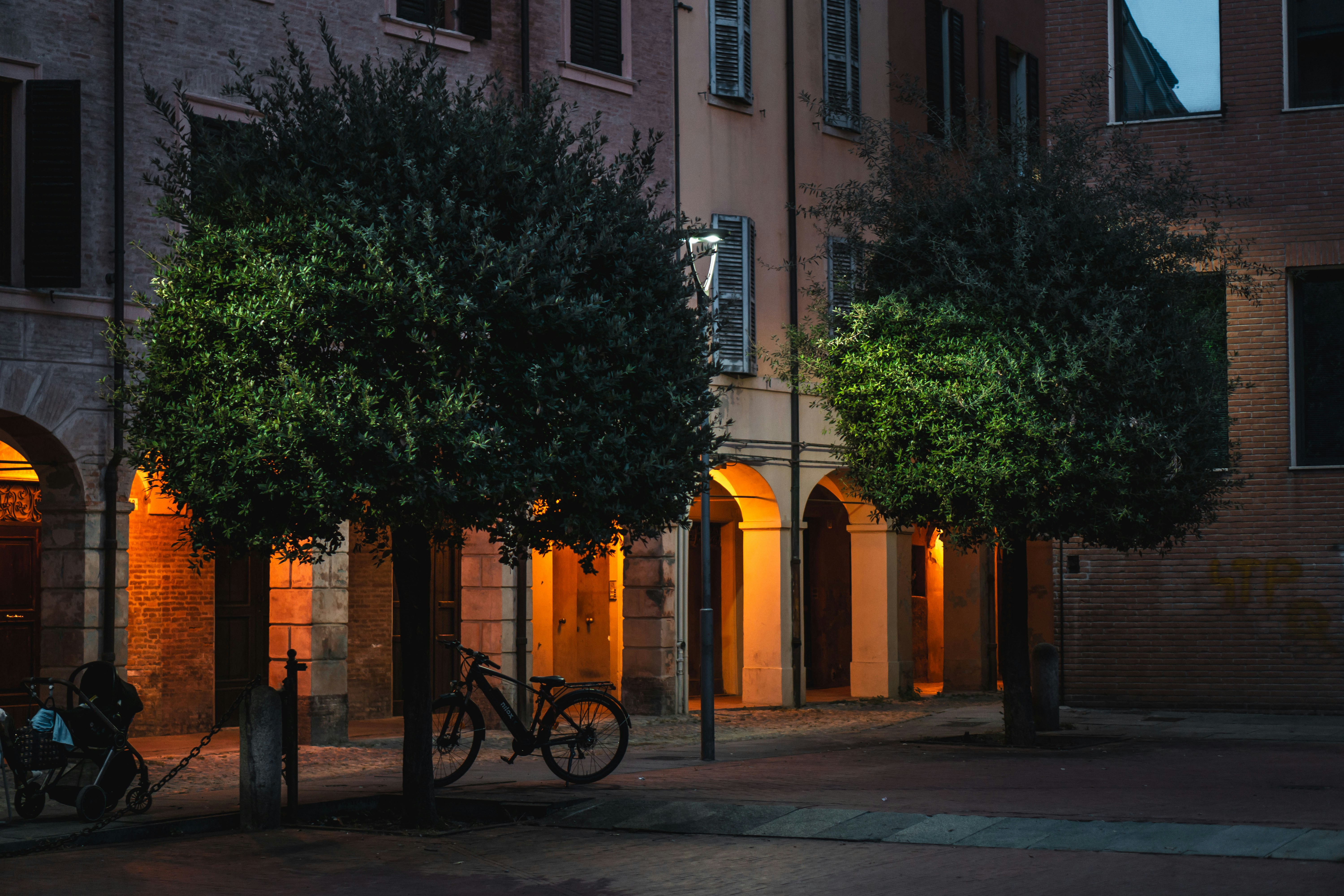 a bike parked on the side of a street next to a tree