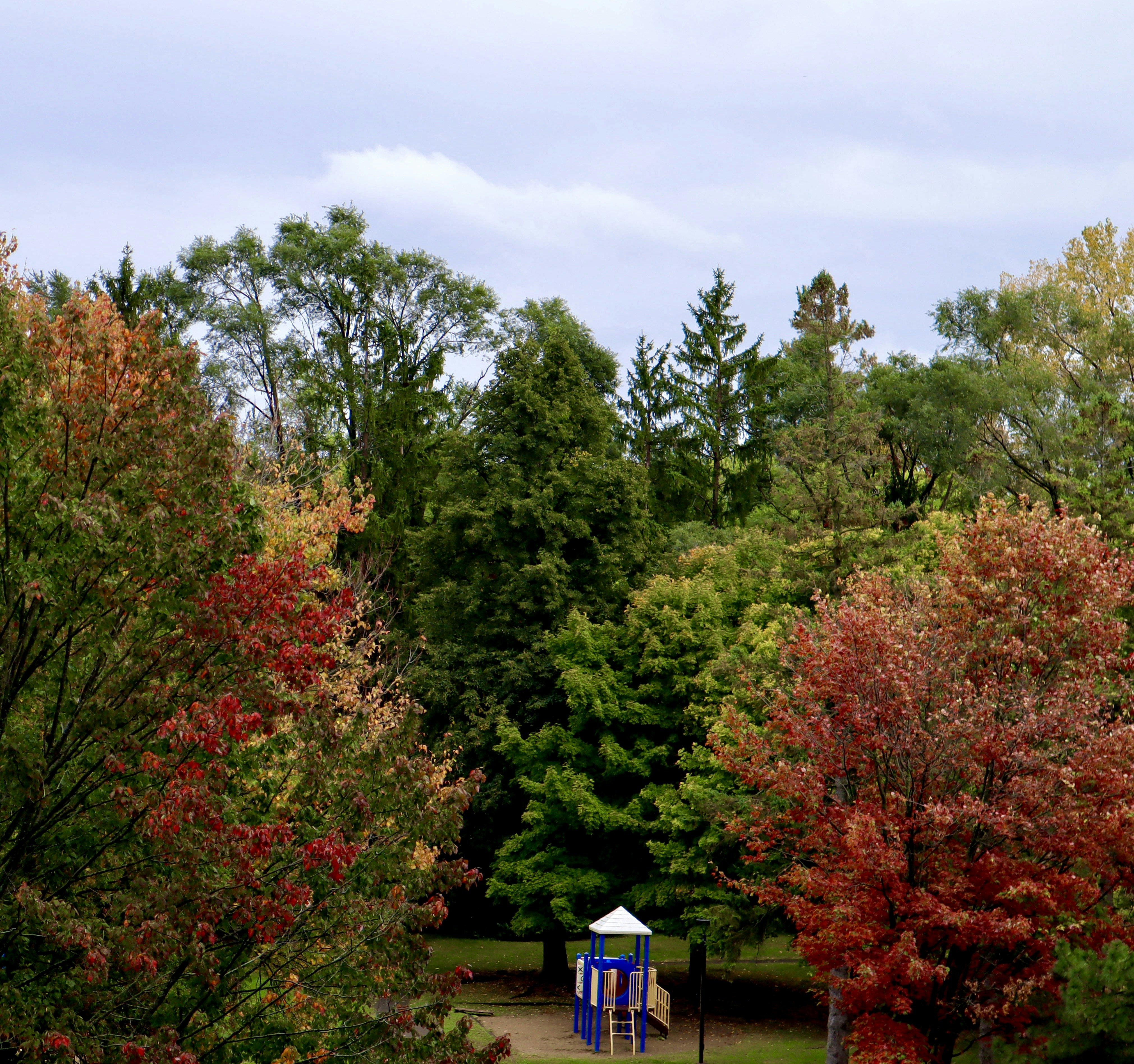 Photo by bhaskara999