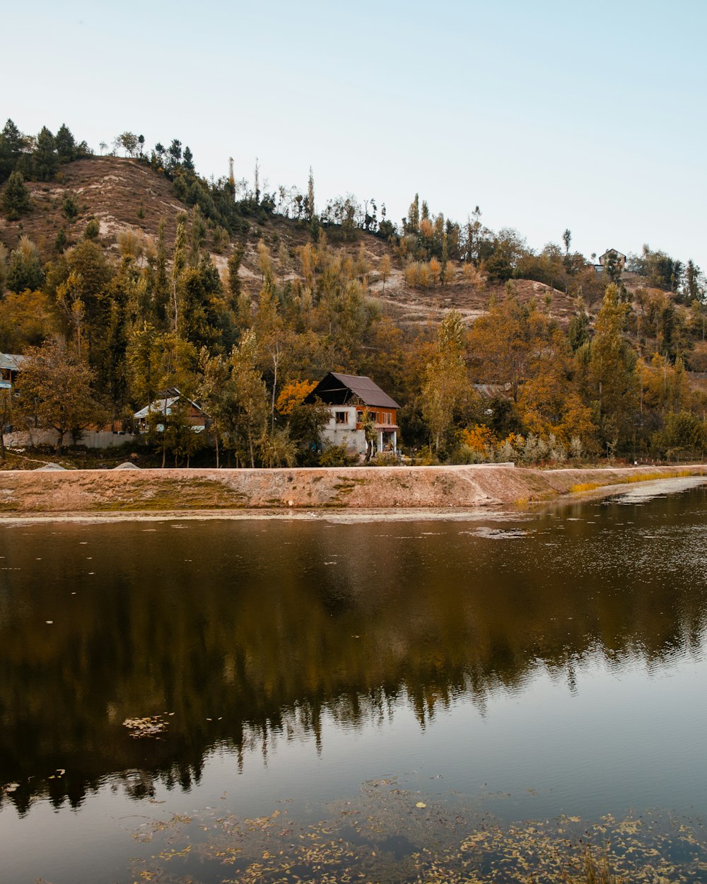 a lake with a house on a hill in the background