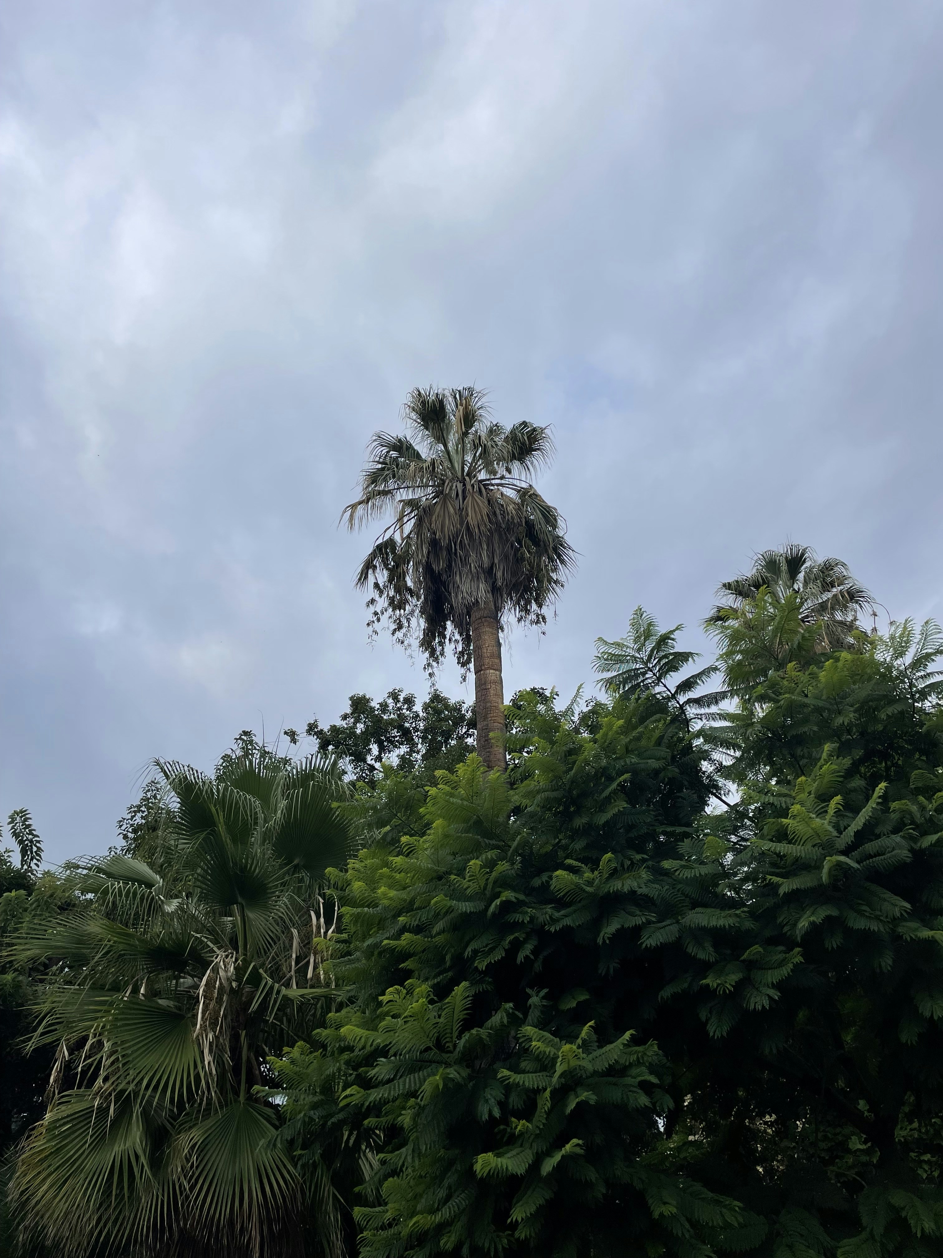 La Spezia – Accommodation & Where to Stay