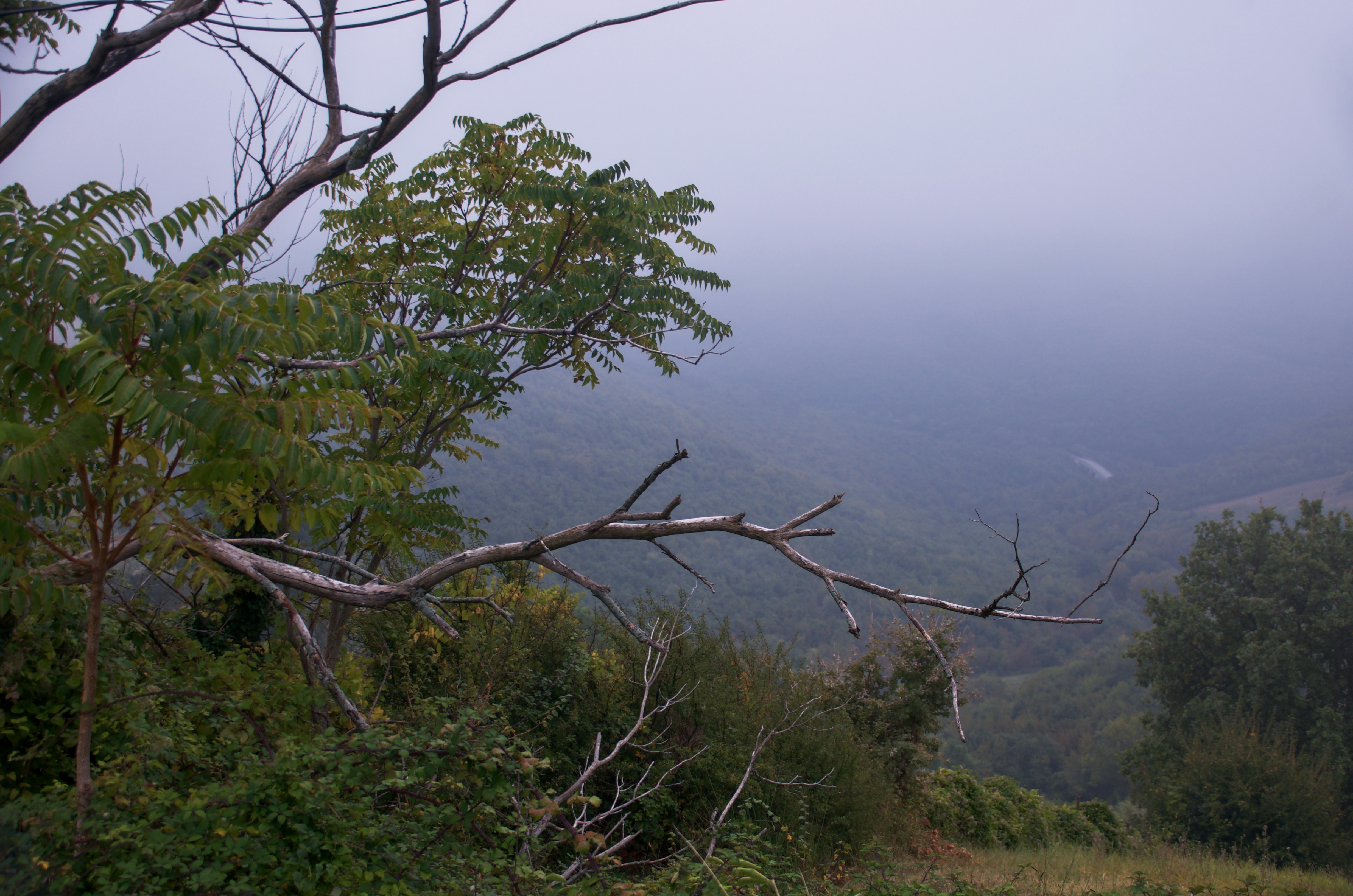 Photo by mariobeducci