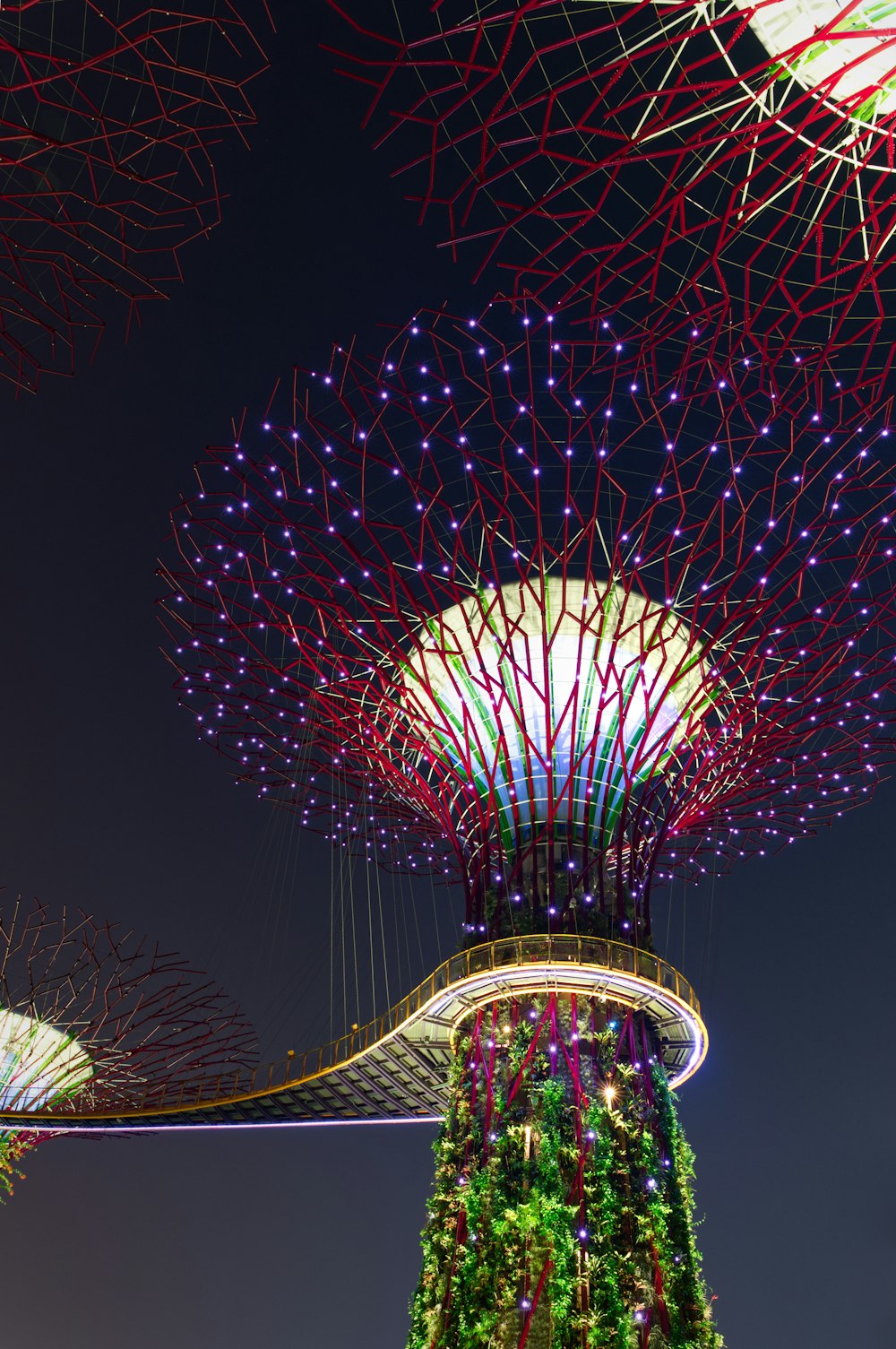 a night view of a colorful display of lights and trees