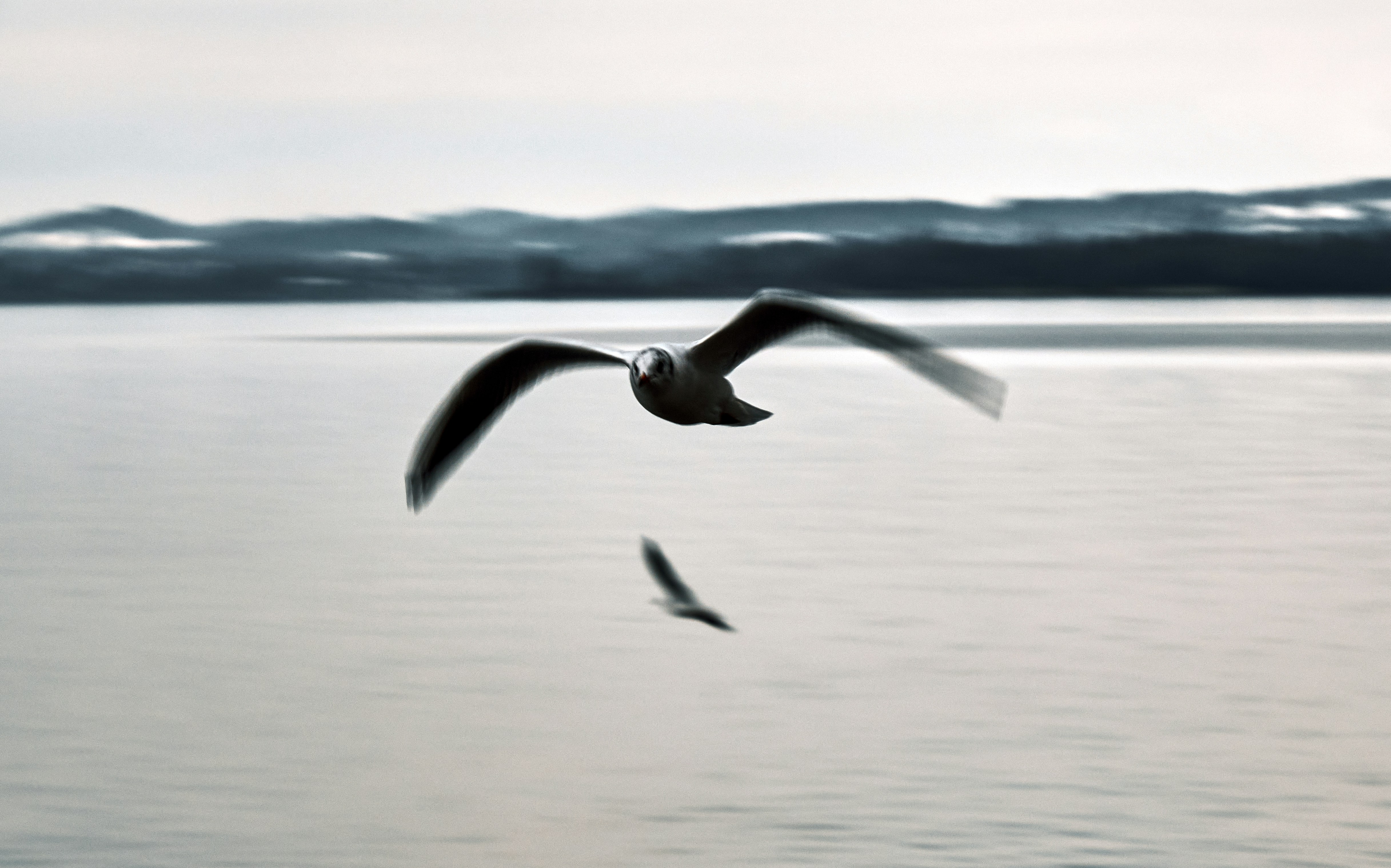 Photo by marcus_ganahl