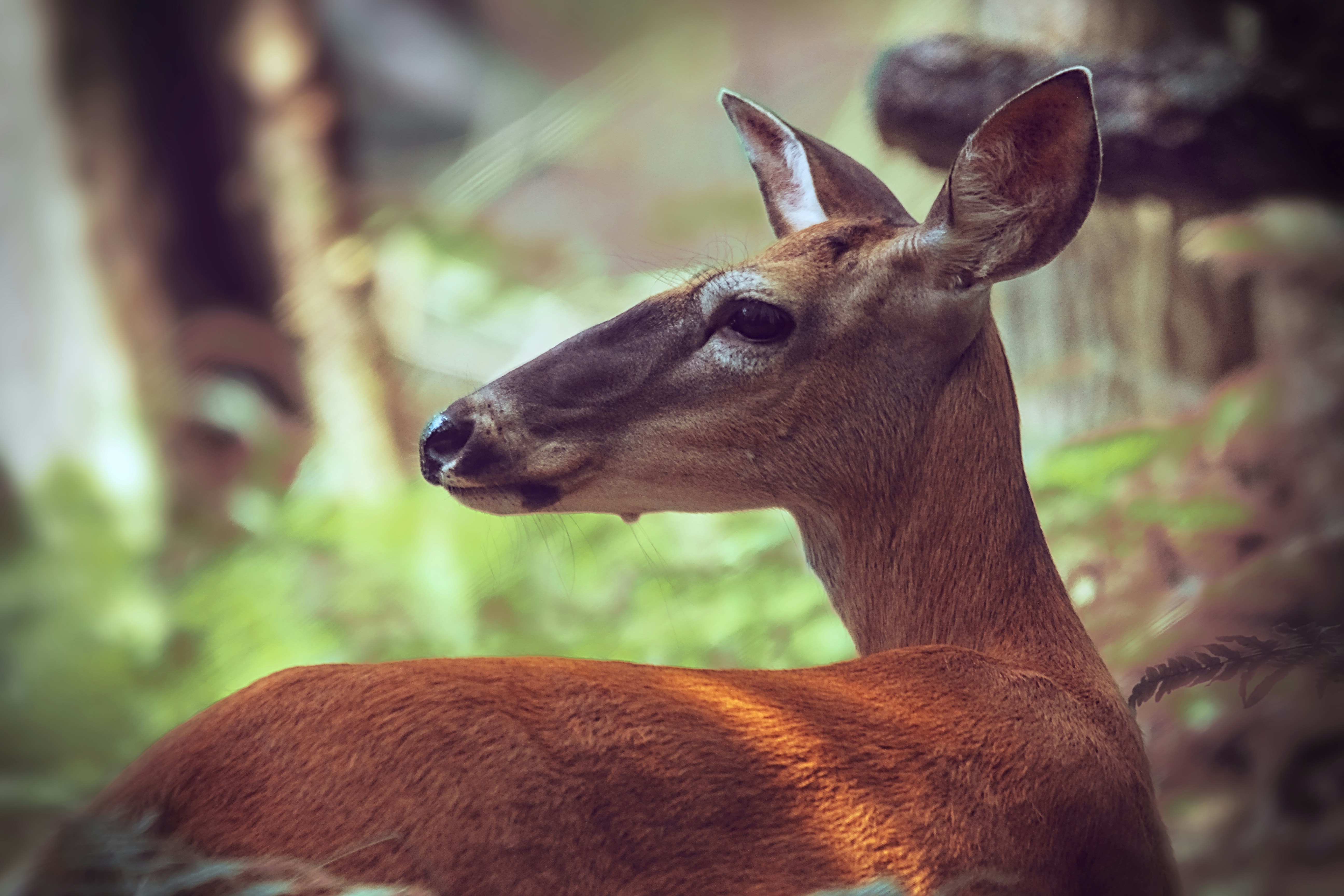 Photo by dcanadianphotographer