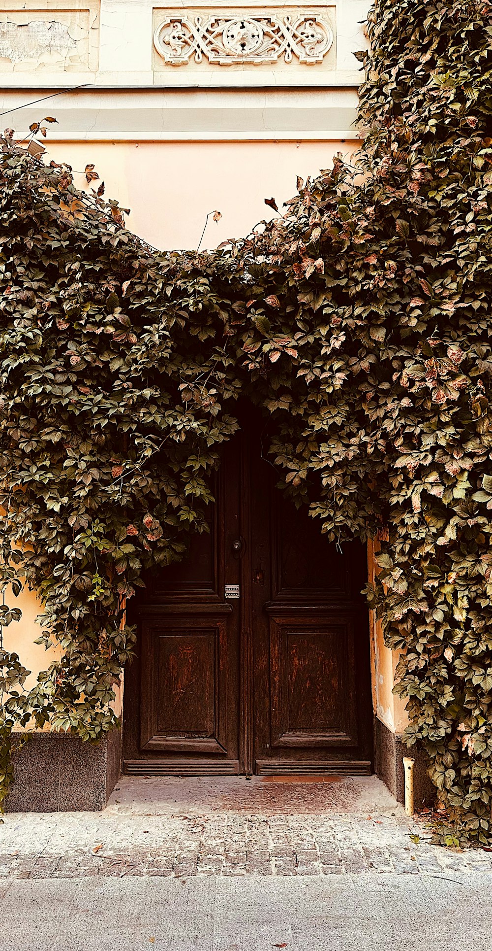 a building covered in vines next to a wooden door