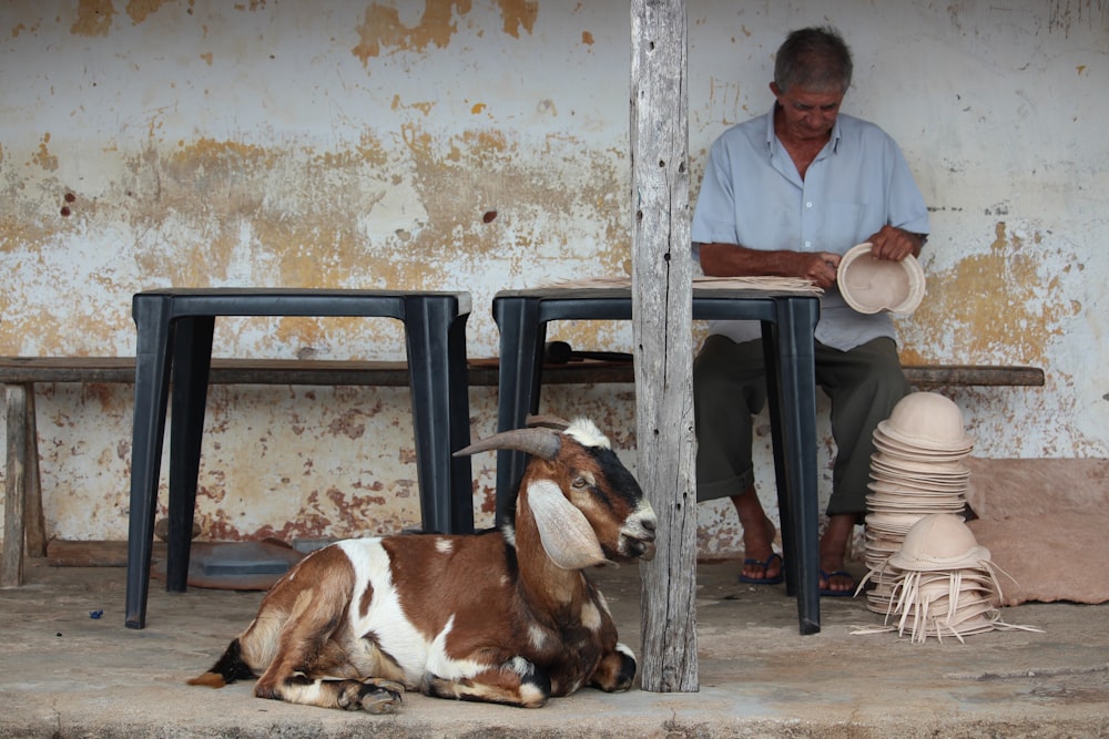 a man sitting at a table next to a goat
