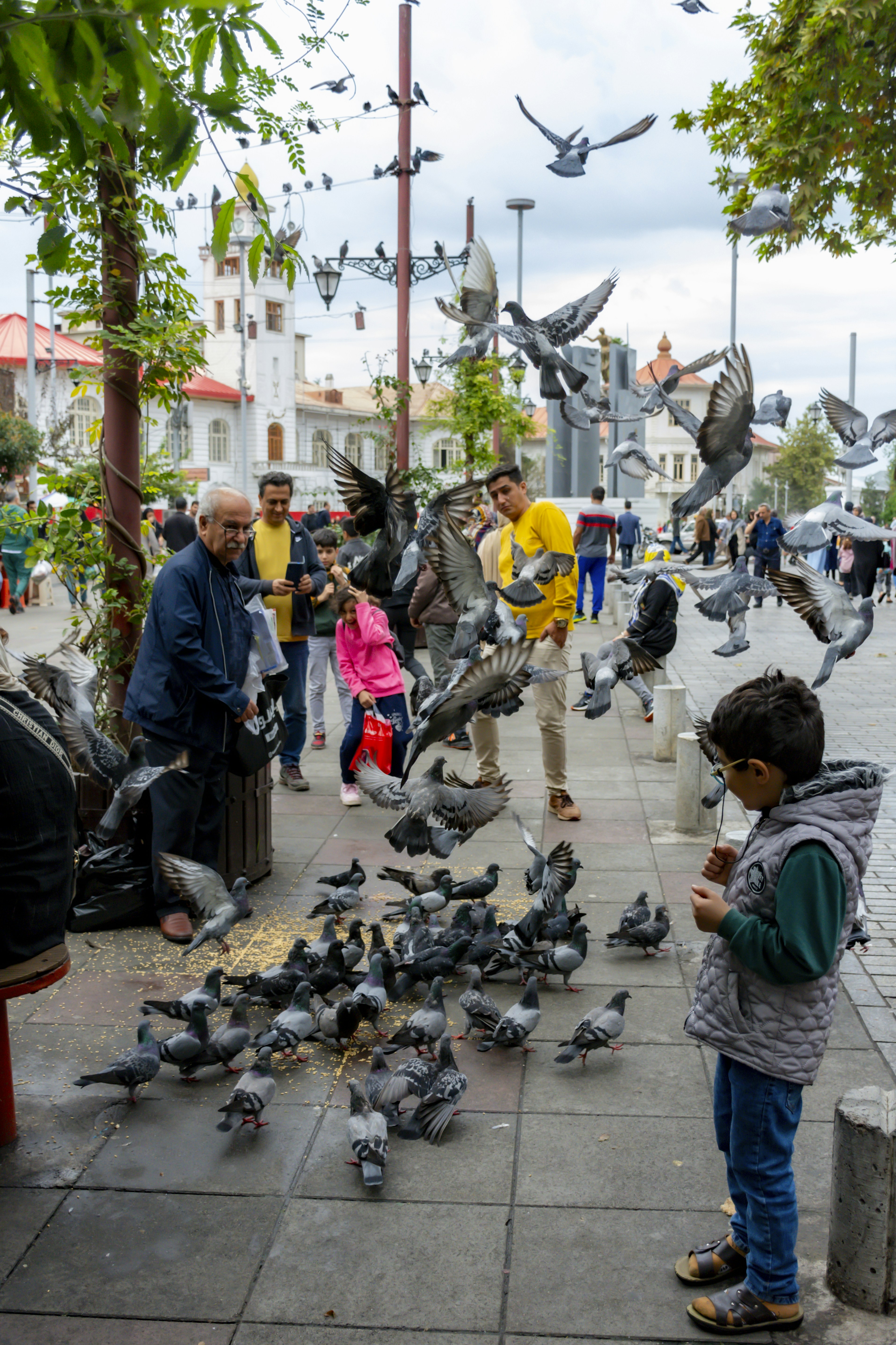 A little boy standing next to a flock of birds
